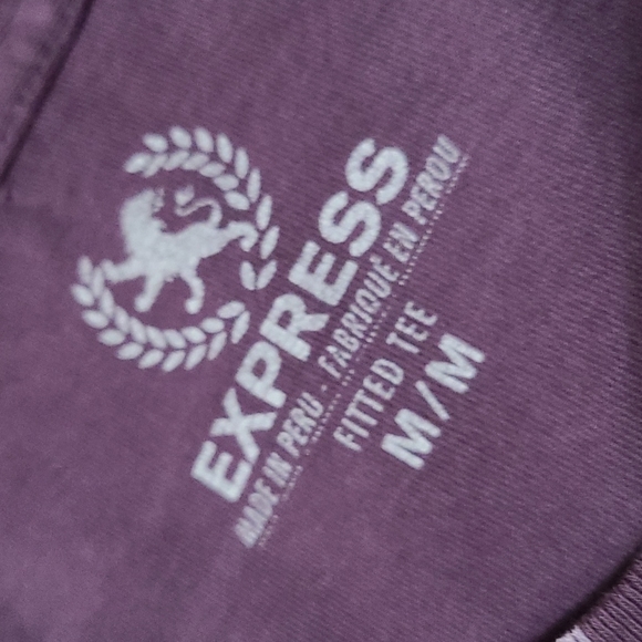 EXPRESS Unisex fitted tee - Picture 3 of 3